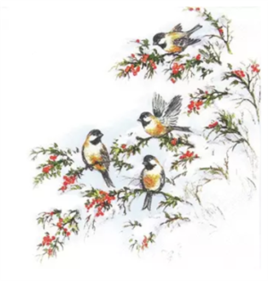 Kaffiservíettur Sophy's birds 25x25 (12)