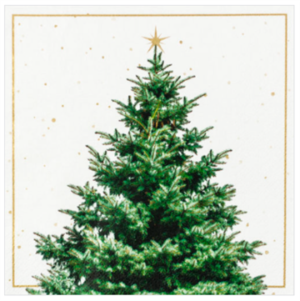 Servíettur Fir tree 33x33 (12)