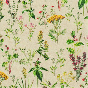 Servíettur Herbal Meadow 33x33 (12)