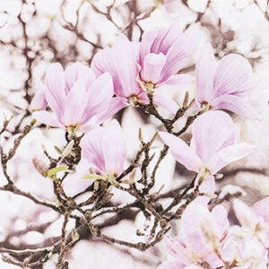Servíettur Pink Magnolia 25x25 (12)