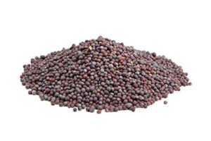 Sinnepsfræ brún 700g 1L staukur (9)