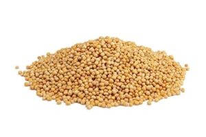 Sinnepsfræ gul 2,4 kg 4L fata