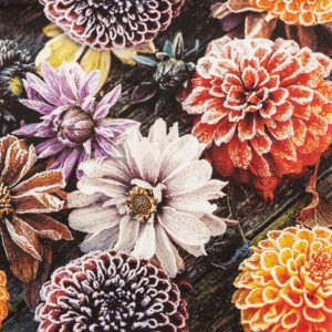 Serv. Frosted Dahlia (12)